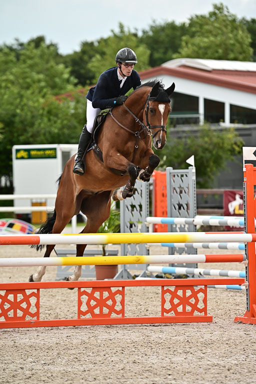 Klein Offenseth  - Hengststation Hell am 28.7.25 | 28072025 Springpferde L _005 