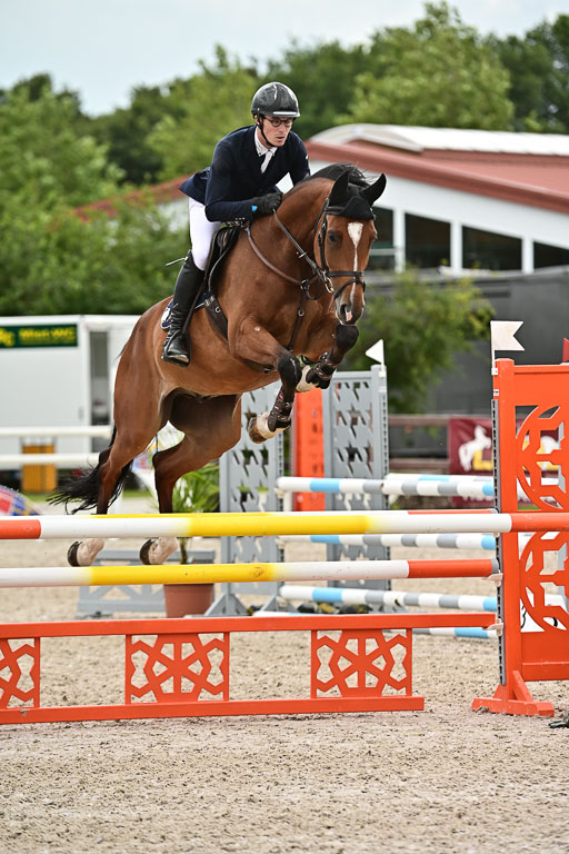 Klein Offenseth  - Hengststation Hell am 28.7.25 | 28072025 Springpferde L _006 