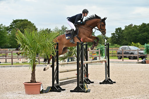 Klein Offenseth  - Hengststation Hell am 28.7.25 | 28072025 Springpferde L _007 