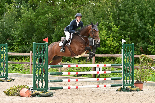 Klein Offenseth  - Hengststation Hell am 28.7.25 | 28072025 Springpferde L _009 