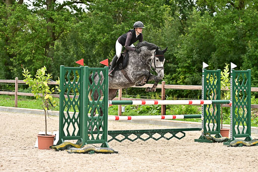 Klein Offenseth  - Hengststation Hell am 28.7.25 | 28072025 Springpferde L _010 