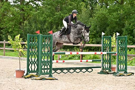 Klein Offenseth  - Hengststation Hell am 28.7.25 | 28072025 Springpferde L _011 