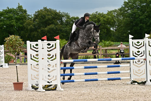 Klein Offenseth  - Hengststation Hell am 28.7.25 | 28072025 Springpferde L _013 