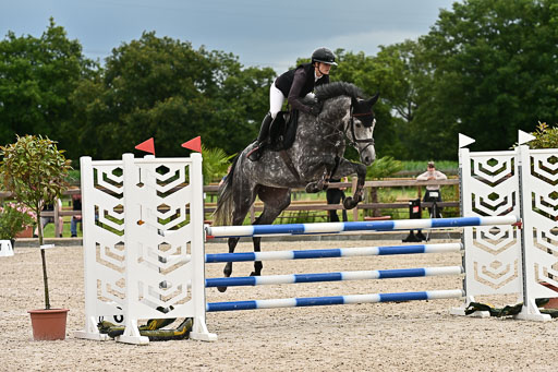 Klein Offenseth  - Hengststation Hell am 28.7.25 | 28072025 Springpferde L _014 