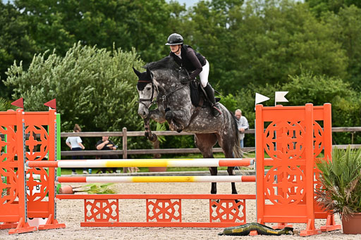 Klein Offenseth  - Hengststation Hell am 28.7.25 | 28072025 Springpferde L _015 