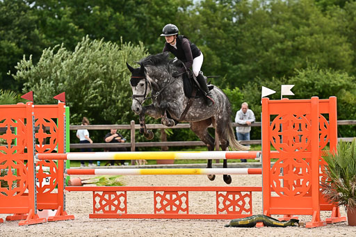 Klein Offenseth  - Hengststation Hell am 28.7.25 | 28072025 Springpferde L _016 