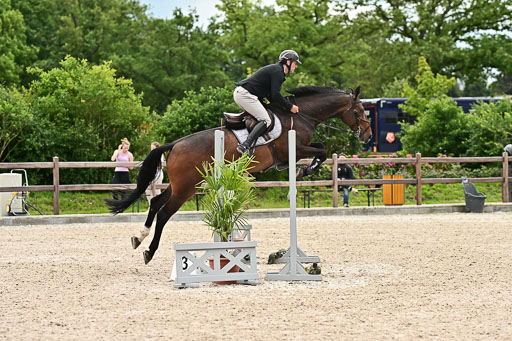 Klein Offenseth  - Hengststation Hell am 28.7.25 | 28072025 Springpferde L _017 