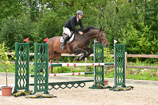 Klein Offenseth  - Hengststation Hell am 28.7.25 | 28072025 Springpferde L _018 