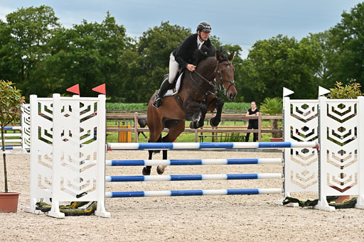 Klein Offenseth  - Hengststation Hell am 28.7.25 | 28072025 Springpferde L _019 