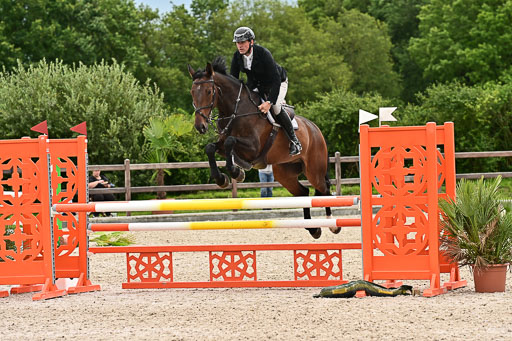 Klein Offenseth  - Hengststation Hell am 28.7.25 | 28072025 Springpferde L _021 