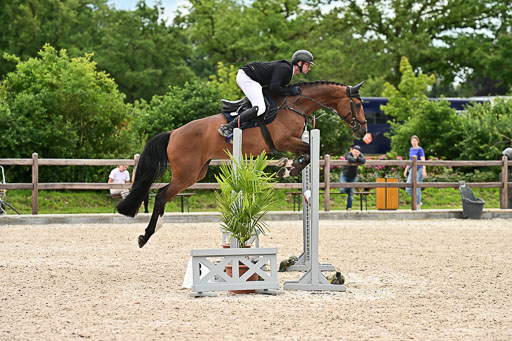 Klein Offenseth  - Hengststation Hell am 28.7.25 | 28072025 Springpferde L _022 