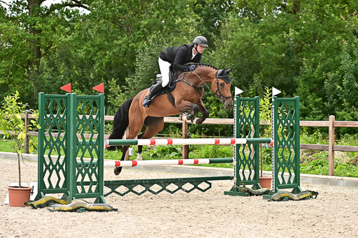 Klein Offenseth  - Hengststation Hell am 28.7.25 | 28072025 Springpferde L _023 