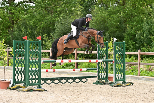 Klein Offenseth  - Hengststation Hell am 28.7.25 | 28072025 Springpferde L _024 