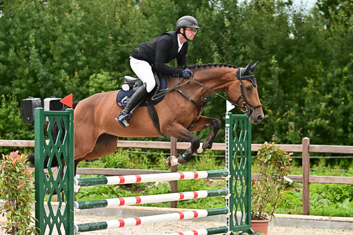 Klein Offenseth  - Hengststation Hell am 28.7.25 | 28072025 Springpferde L _025 