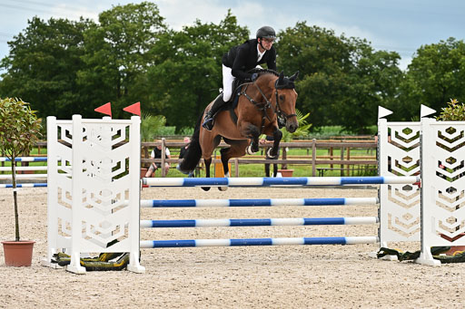 Klein Offenseth  - Hengststation Hell am 28.7.25 | 28072025 Springpferde L _027 