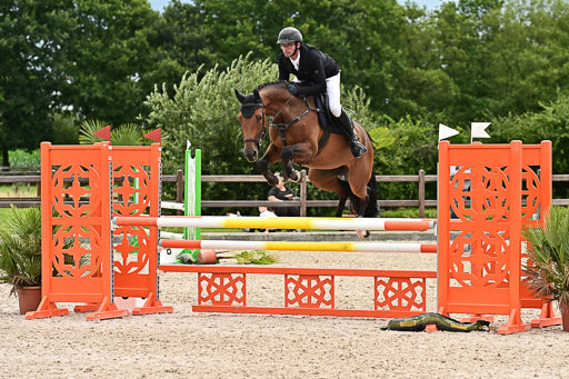 Klein Offenseth  - Hengststation Hell am 28.7.25 | 28072025 Springpferde L _028 