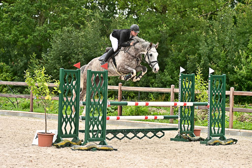 Klein Offenseth  - Hengststation Hell am 28.7.25 | 28072025 Springpferde L _029 