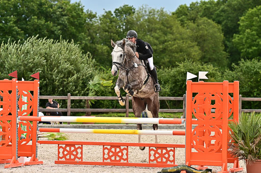 Klein Offenseth  - Hengststation Hell am 28.7.25 | 28072025 Springpferde L _033 