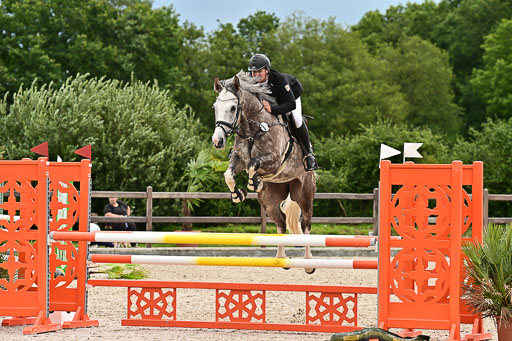 Klein Offenseth  - Hengststation Hell am 28.7.25 | 28072025 Springpferde L _034 