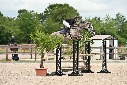 Klein Offenseth  - Hengststation Hell am 28.7.25 | 28072025 Springpferde L _035 