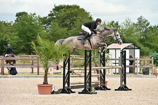 Klein Offenseth  - Hengststation Hell am 28.7.25 | 28072025 Springpferde L _036 