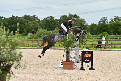 Klein Offenseth  - Hengststation Hell am 28.7.25 | 28072025 Springpferde L _037 