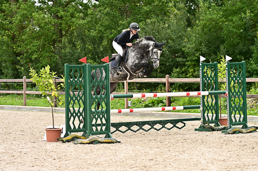 Klein Offenseth  - Hengststation Hell am 28.7.25 | 28072025 Springpferde L _038 