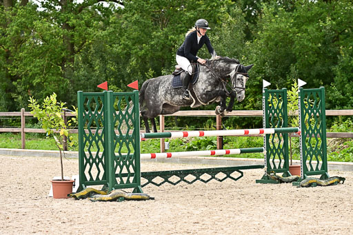 Klein Offenseth  - Hengststation Hell am 28.7.25 | 28072025 Springpferde L _039 