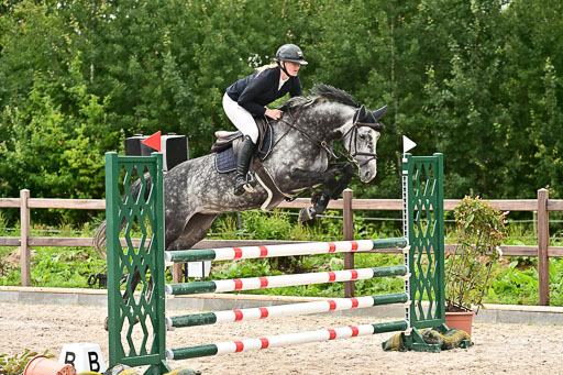 Klein Offenseth  - Hengststation Hell am 28.7.25 | 28072025 Springpferde L _040 