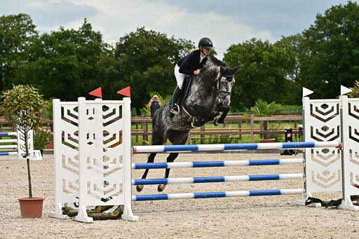 Klein Offenseth  - Hengststation Hell am 28.7.25 | 28072025 Springpferde L _041 