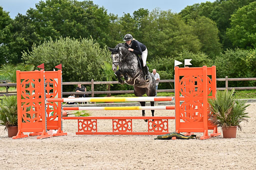 Klein Offenseth  - Hengststation Hell am 28.7.25 | 28072025 Springpferde L _043 