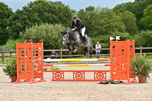 Klein Offenseth  - Hengststation Hell am 28.7.25 | 28072025 Springpferde L _045 