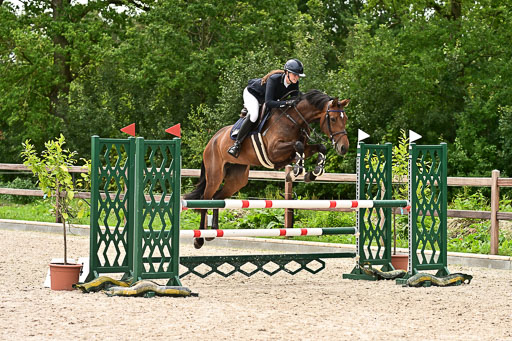 Klein Offenseth  - Hengststation Hell am 28.7.25 | 28072025 Springpferde L _048 