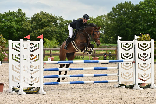 Klein Offenseth  - Hengststation Hell am 28.7.25 | 28072025 Springpferde L _050 