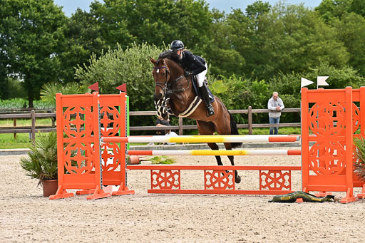 Klein Offenseth  - Hengststation Hell am 28.7.25 | 28072025 Springpferde L _051 