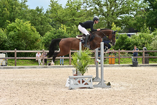 Klein Offenseth  - Hengststation Hell am 28.7.25 | 28072025 Springpferde L _055 