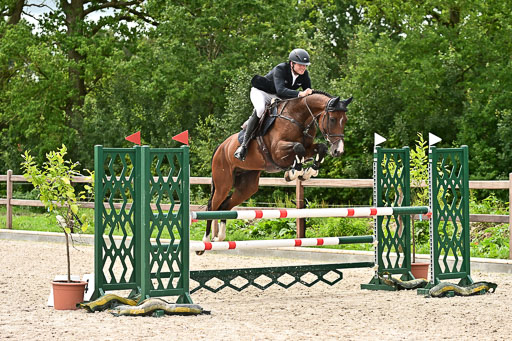 Klein Offenseth  - Hengststation Hell am 28.7.25 | 28072025 Springpferde L _056 