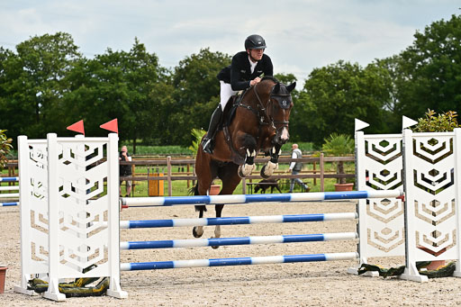 Klein Offenseth  - Hengststation Hell am 28.7.25 | 28072025 Springpferde L _059 