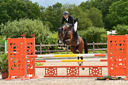 Klein Offenseth  - Hengststation Hell am 28.7.25 | 28072025 Springpferde L _060 