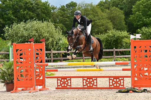 Klein Offenseth  - Hengststation Hell am 28.7.25 | 28072025 Springpferde L _061 