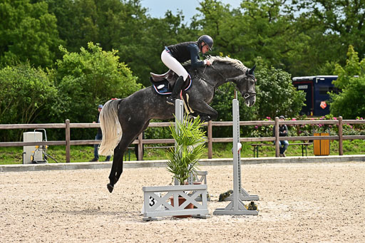 Klein Offenseth  - Hengststation Hell am 28.7.25 | 28072025 Springpferde L _062 