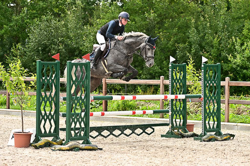 Klein Offenseth  - Hengststation Hell am 28.7.25 | 28072025 Springpferde L _063 