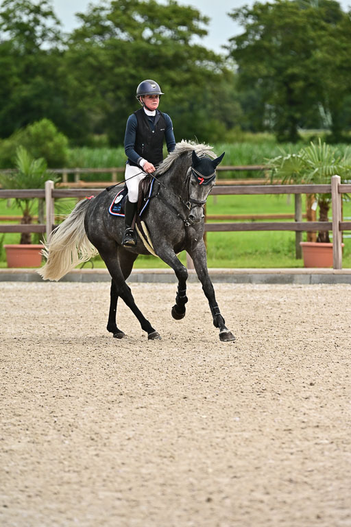 Klein Offenseth  - Hengststation Hell am 28.7.25 | 28072025 Springpferde L _064 