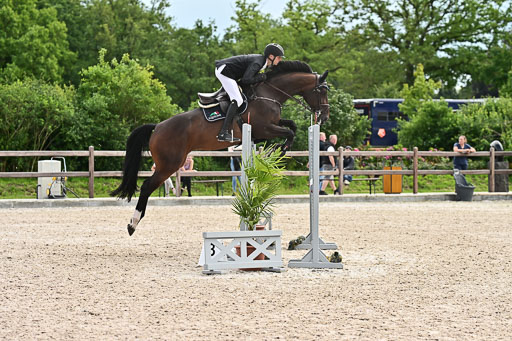 Klein Offenseth  - Hengststation Hell am 28.7.25 | 28072025 Springpferde L _067 