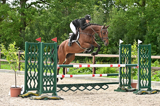 Klein Offenseth  - Hengststation Hell am 28.7.25 | 28072025 Springpferde L _068 