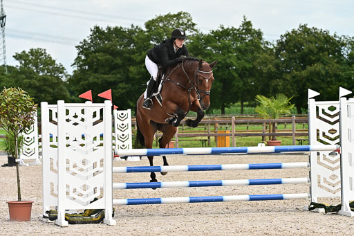 Klein Offenseth  - Hengststation Hell am 28.7.25 | 28072025 Springpferde L _070 