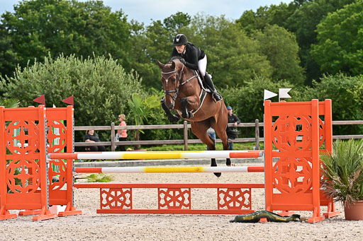 Klein Offenseth  - Hengststation Hell am 28.7.25 | 28072025 Springpferde L _071 