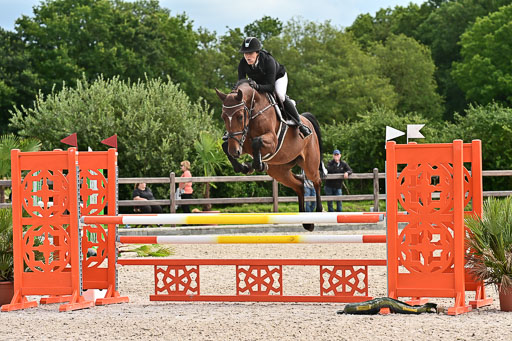 Klein Offenseth  - Hengststation Hell am 28.7.25 | 28072025 Springpferde L _072 