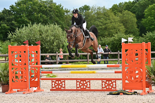 Klein Offenseth  - Hengststation Hell am 28.7.25 | 28072025 Springpferde L _073 