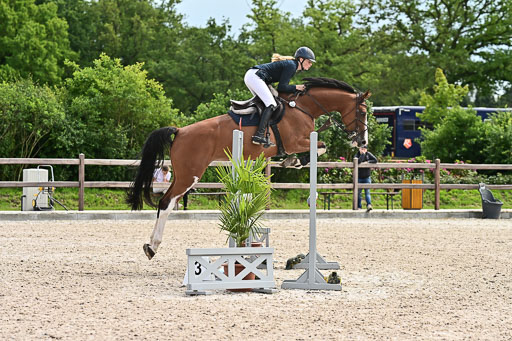 Klein Offenseth  - Hengststation Hell am 28.7.25 | 28072025 Springpferde L _075 